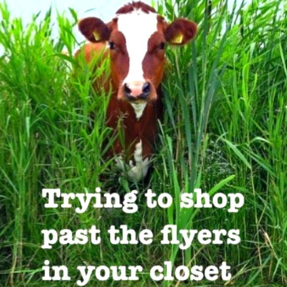 Poshmark Humor - Picture 10 of 10